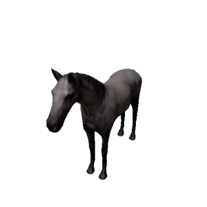 Npc foal 5.png