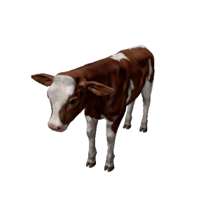 Npc calf 1.png