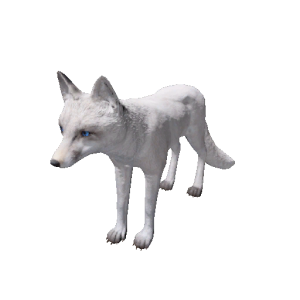 Npc arcticfox 0.png