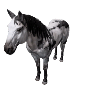 Npc stallion 12.png