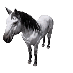 Npc horse 8.png