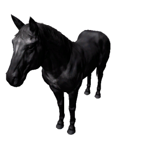 Npc stallion 7.png