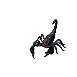 Npc scorpion 0.png