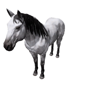 Npc stallion 8.png