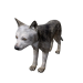 Npc wolfcub 0.png