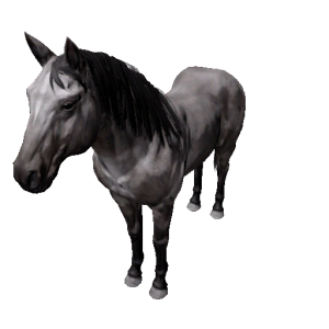 Npc stallion 2.png