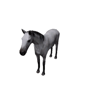 Npc foal 13.png