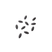 Plant watermelon seeds.png