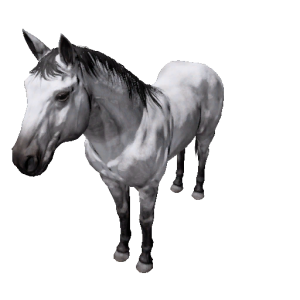 Npc stallion 9.png