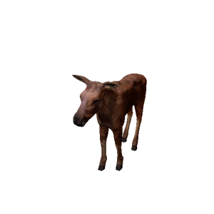 Npc moosecalf 0.png