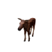 Npc moosecalf 0.png