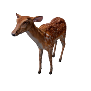 Npc deer 0.png