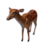 Npc deer 0.png