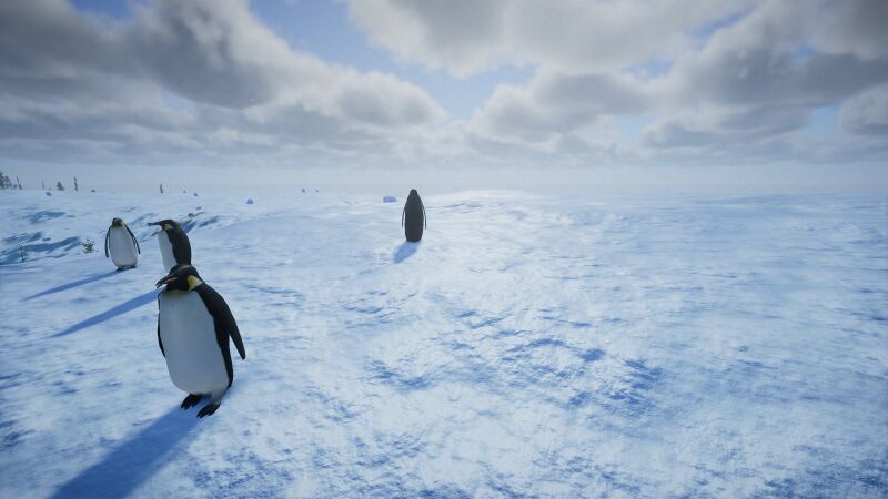 Datei:Biome-SnowField.jpg