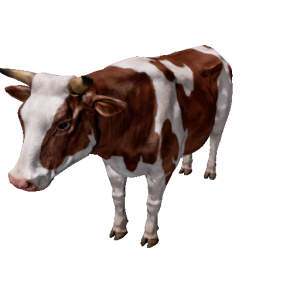 Npc cow 1.png