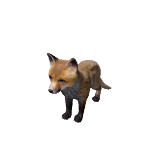 Npc foxcub 0.png