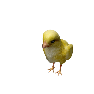 Npc chick 0.png