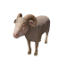 Npc ramshorn 0.png
