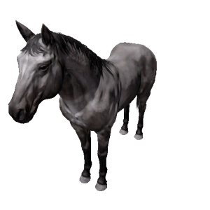 Npc stallion 3.png