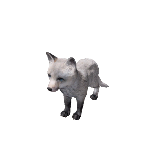 Npc arcticfoxcub 0.png