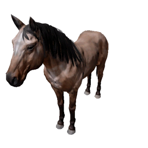 Npc horse 0.png