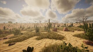 desert 1