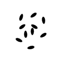 Vorschaubild der Version vom 15:39, 16. Jun. 2023