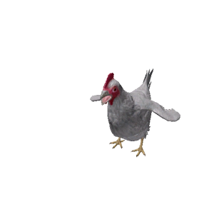Npc chicken 0.png