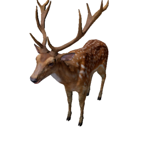 Npc deerstag 0.png
