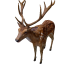 Npc deerstag 0.png
