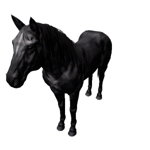 Npc stallion 6.png