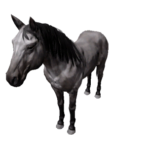Npc horse 2.png