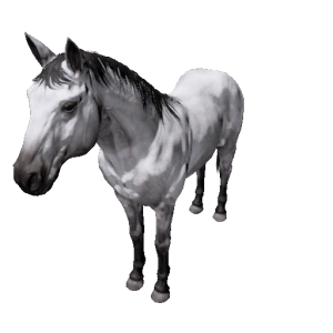 Npc horse 9.png