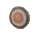 Object shootingtarget1.png