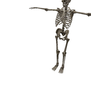 Npc skeleton 1.png