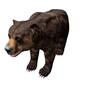 Npc bear 0.png