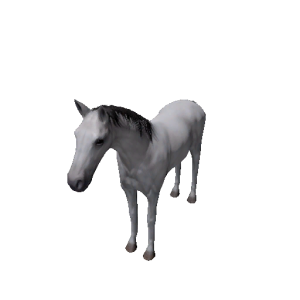 Npc foal 8.png