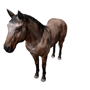 Npc stallion 1.png