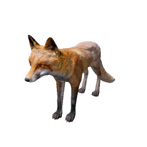 Npc fox 0.png