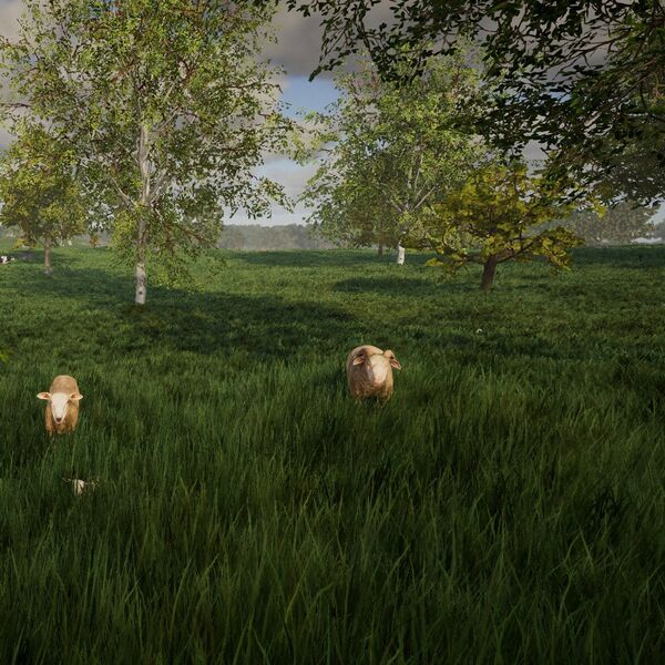 Datei:Biomes Grass small.jpg