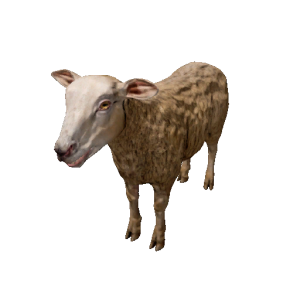 Npc sheep 0.png