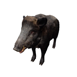 Npc wildsow 0.png