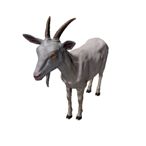 Npc goat 0.png