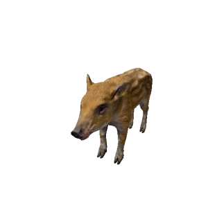 Npc wildpiglet 0.png