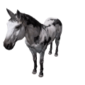 Vorschaubild der Version vom 13:37, 15. Jun. 2026
