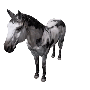 Npc horse 13.png