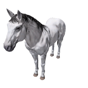 Npc stallion 5.png
