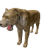 Npc lioness 0.png