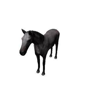 Npc foal 2.png