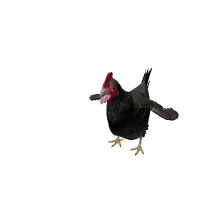 Npc chicken 2.png